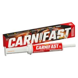 CARNIFAST - Pré-Prova