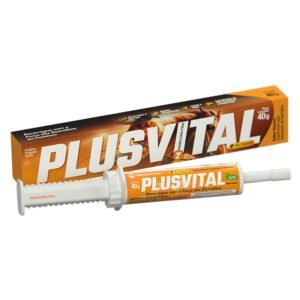 PLUSVITAL eletrolítico pós-prova