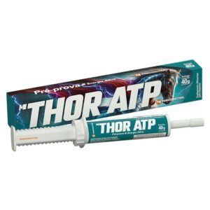 M-THOR ATP - Pré-prova
