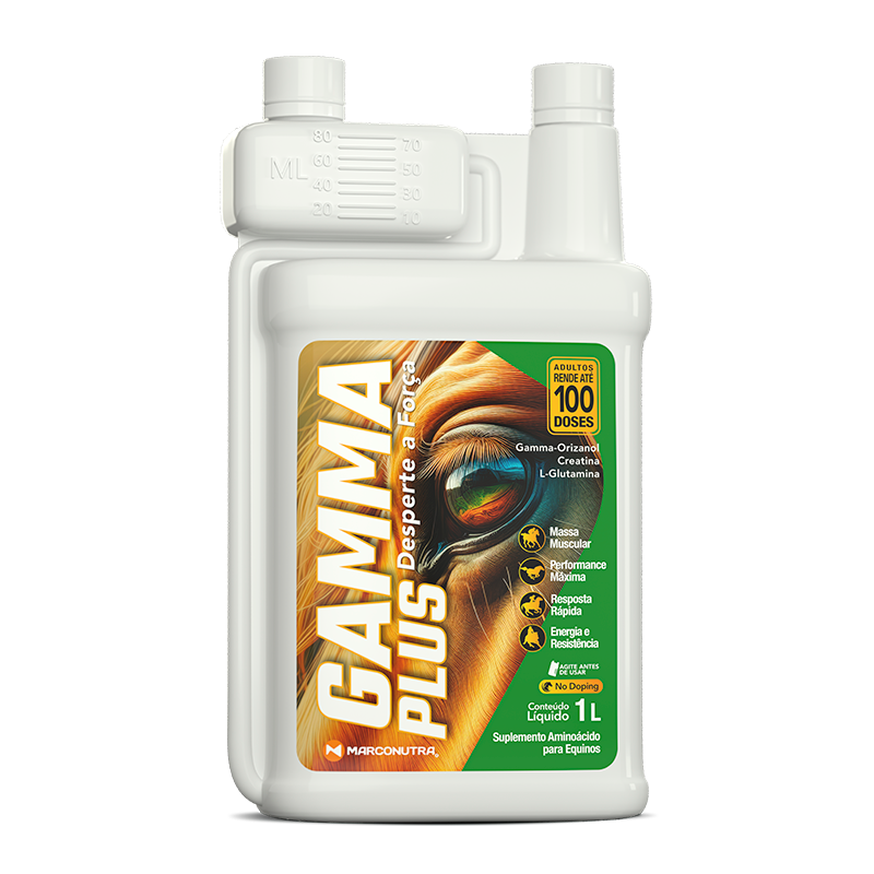 GAMMA PLUS