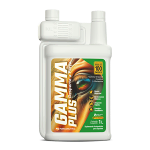 Gamma Plus