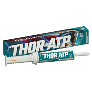 M-THOR ATP