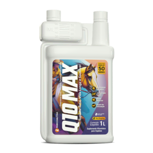 Q10 MAX
