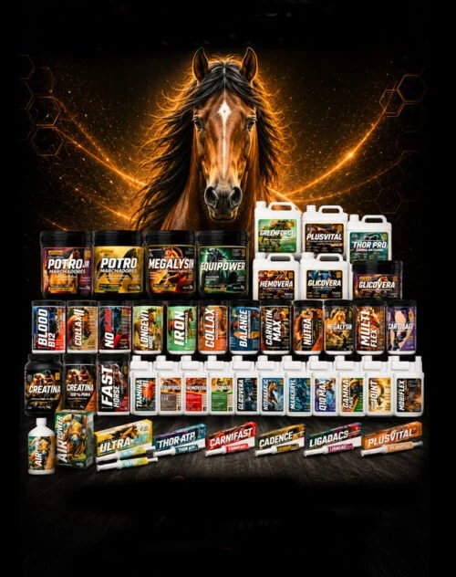 Linha completa de produtos Marconutra