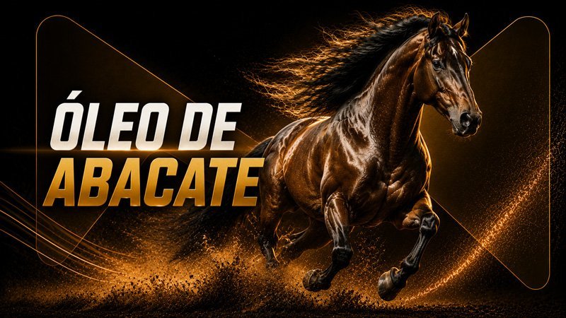 Óleo de abacate para cavalos: energia e evidências disponíveis