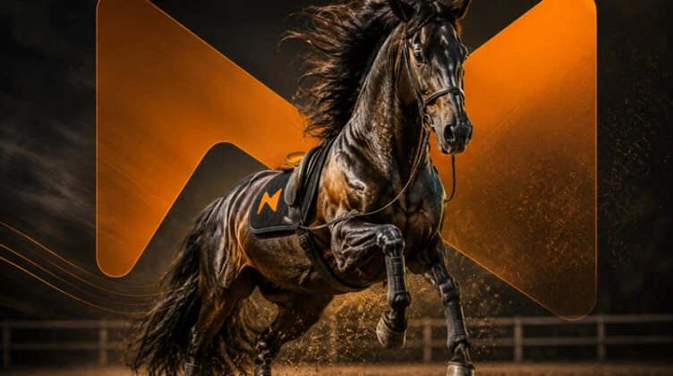 Rotina de cavalos atletas