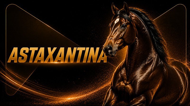Astaxantina em equinos: estresse oxidativo e estudos recentes
