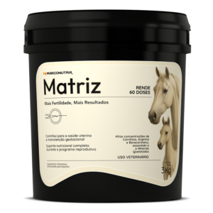 MATRIZ