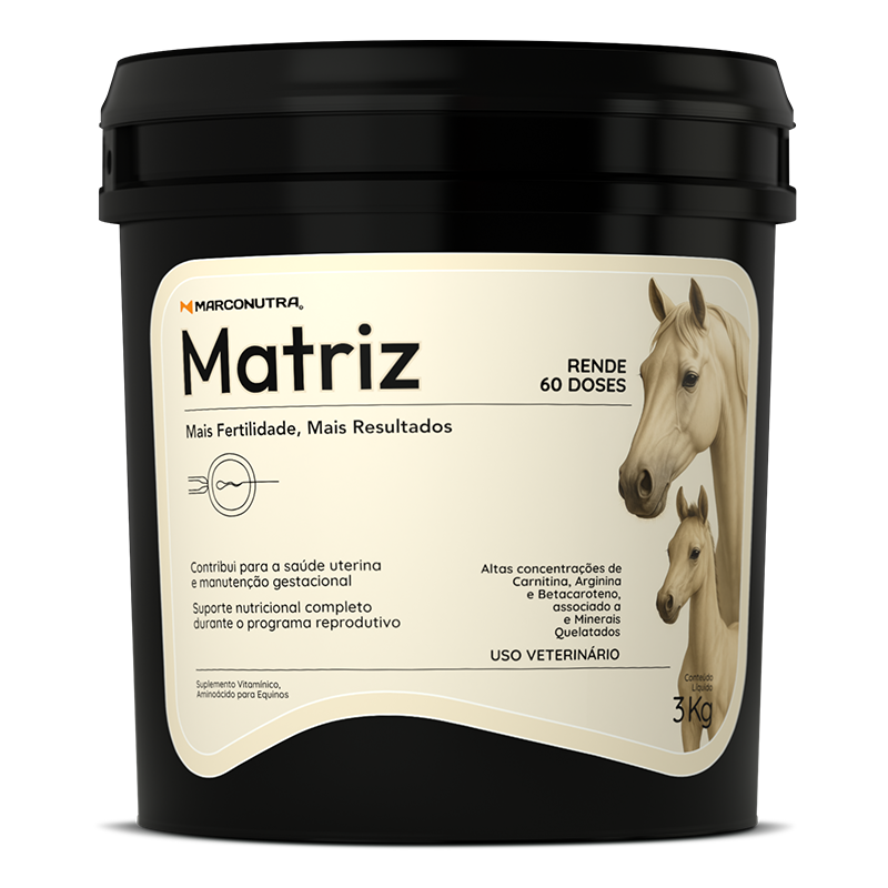 MATRIZ