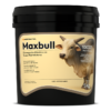 MAXBULL