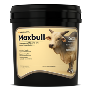 MAXBULL