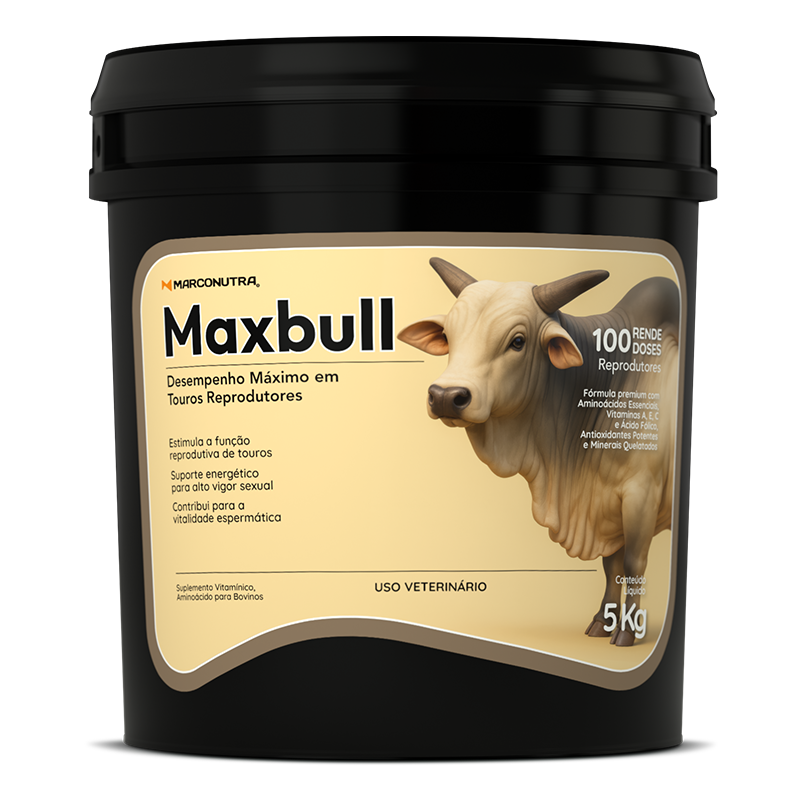 MAXBULL