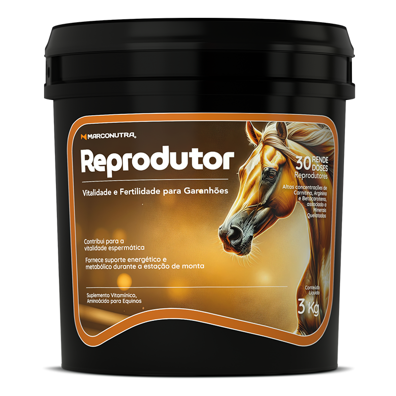 REPRODUTOR